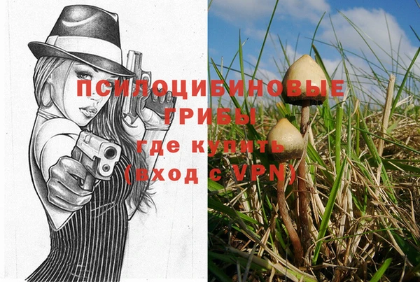каннабис Алексин