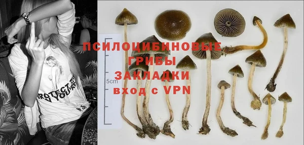 каннабис Алексин
