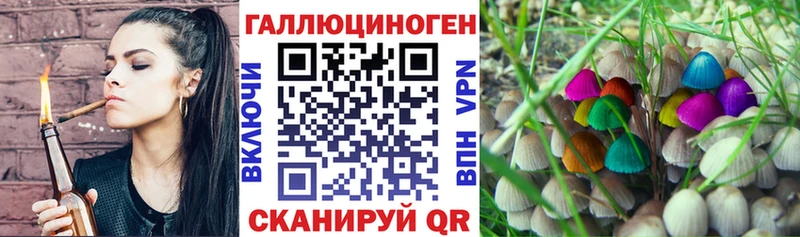 МЕГА ссылка закладка Тверь Псилоцибиновые грибы Psilocybine cubensis
